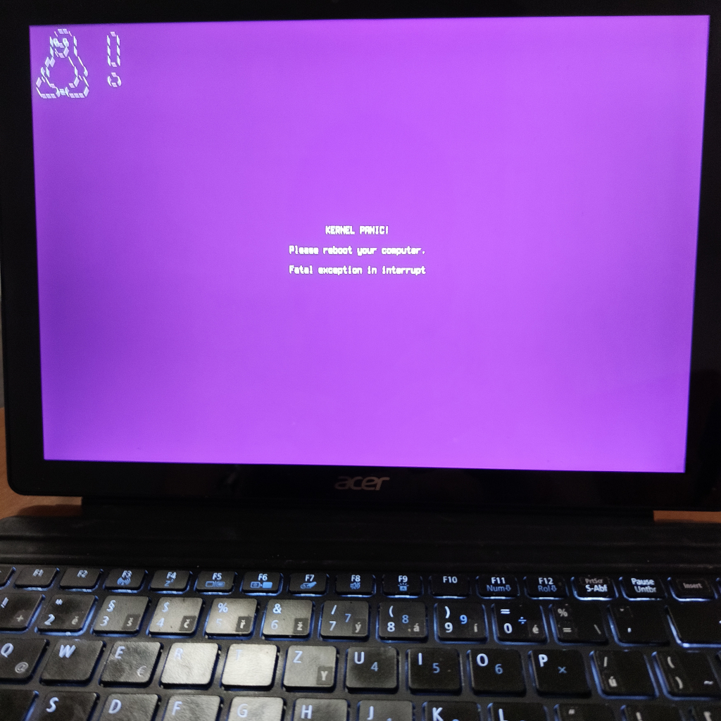 Kernel panic